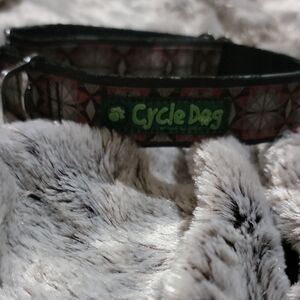 Cycle Dog Collar